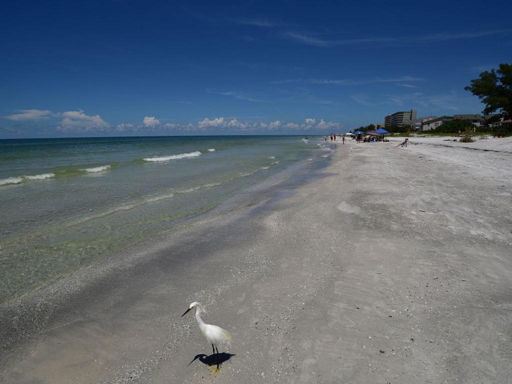Gulf Retreat 2: Magnificent Water Views, Steps To Beach, None Cleaner, None Nicer! Clearwater Beach Extérieur photo